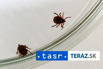 Klieste su aktivne aj na jesen Davajte si pozor