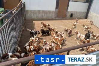 OTRASNE PODMINKY V MNOZIARNI MALO BYT AZ 837 PSOV