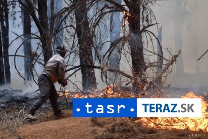 Lesne poziary v Patagonii znicili viac ako 15000 hektarov porastov