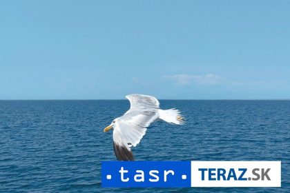 Na dne mora pri Taliansku objavili starobylu rimska nakladnu lod