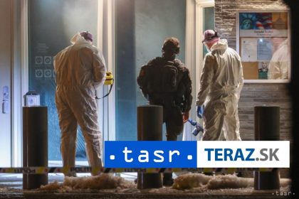 UTOK NA AMBASADU USA DO vazby vzali matku so tromi synmi