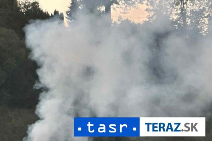 Do likvidacie lesneho poziaru v Ceskom Svajciarsku zasahovalo 500 hasicov