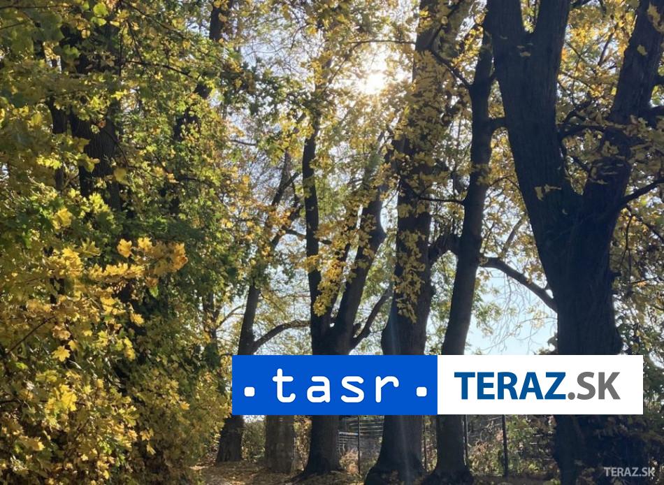 na juhu francuzska pre siriace sa lesne poziarie evakuovali 3000 osob