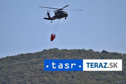 AFP Alzirsko poskytlo Nigeru styri vojenske vrtulniky